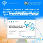 Получить участок в собственность бесплатно в Башкортостане можно будет онлайн на платформе НСПД